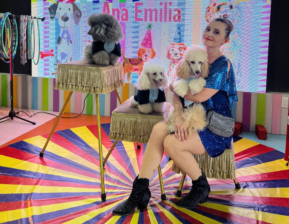 SHOW LIANA Y SUS PERRITOS EDUCADOS