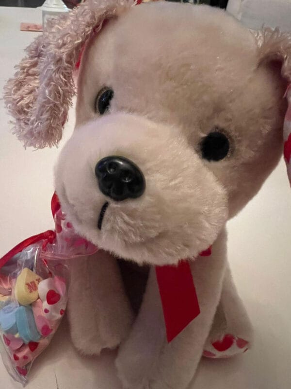 Peluche-de-perrito-san-valentin03 Peluche-de-perrito-san-valentin03