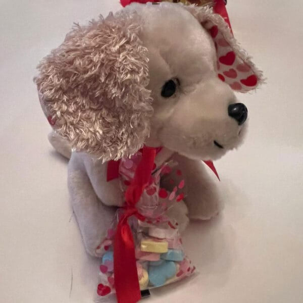 Peluche-de-perrito-san-valentin04 Peluche-de-perrito-san-valentin04