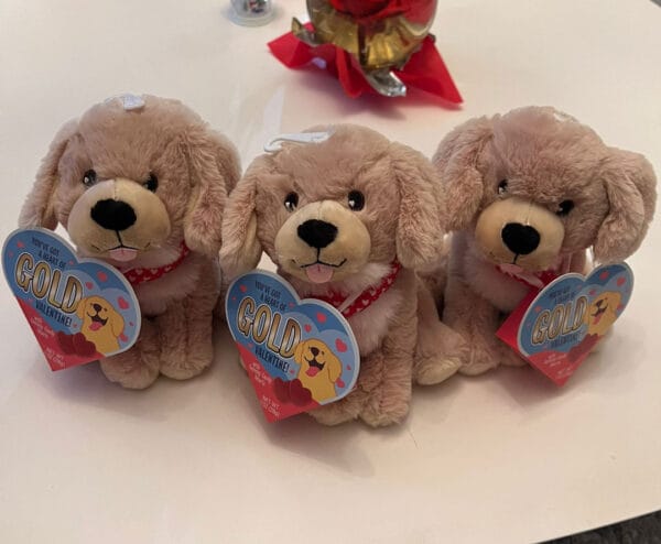 perro-peluche-san-valentin03 Adorable Perro de Peluche San Valentin