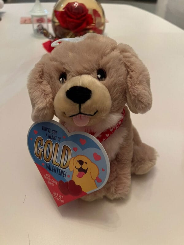 perro-peluche-san-valentin04 Adorable Perro de Peluche San Valentin