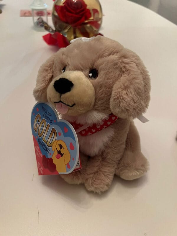 perro-peluche-san-valentin05 Adorable Perro de Peluche San Valentin