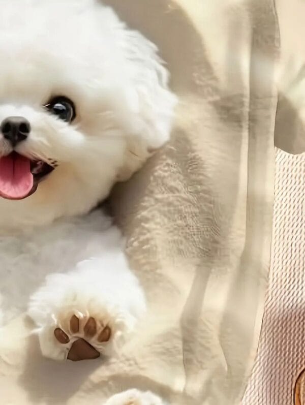 Playeras (3) Playeras (3)