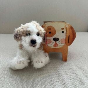 Adóptame Perrito Dina