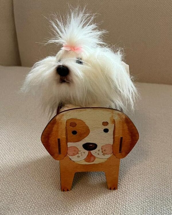 Adóptame-Perrito-Maltés-Liza-02 Adóptame-Perrito-Maltés-Liza-02