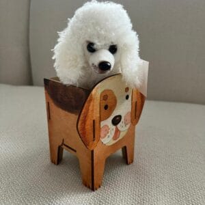 Adopta perrito de peluche French Poodle