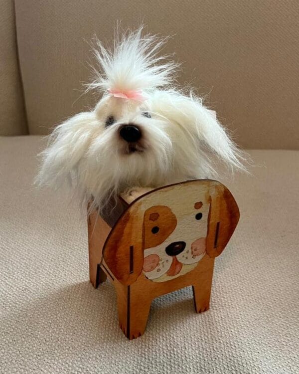 WhatsApp-Image-2026-04-13-at-20.04