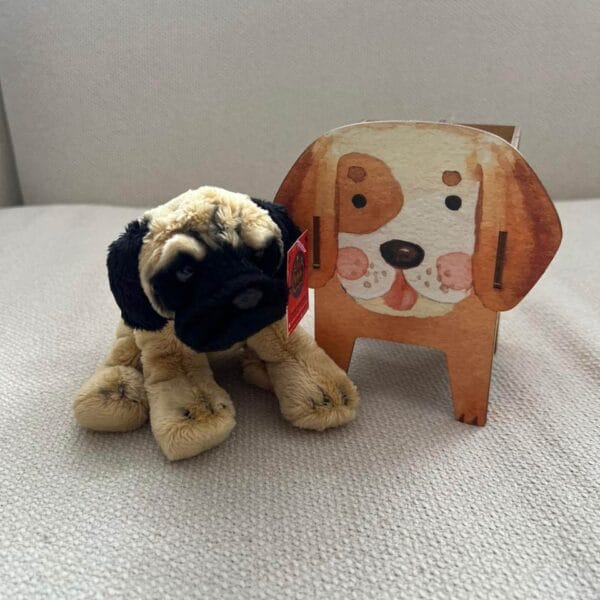 Adóptame-Perrito-Kevin-Pug Adóptame Perrito Kevin Pug