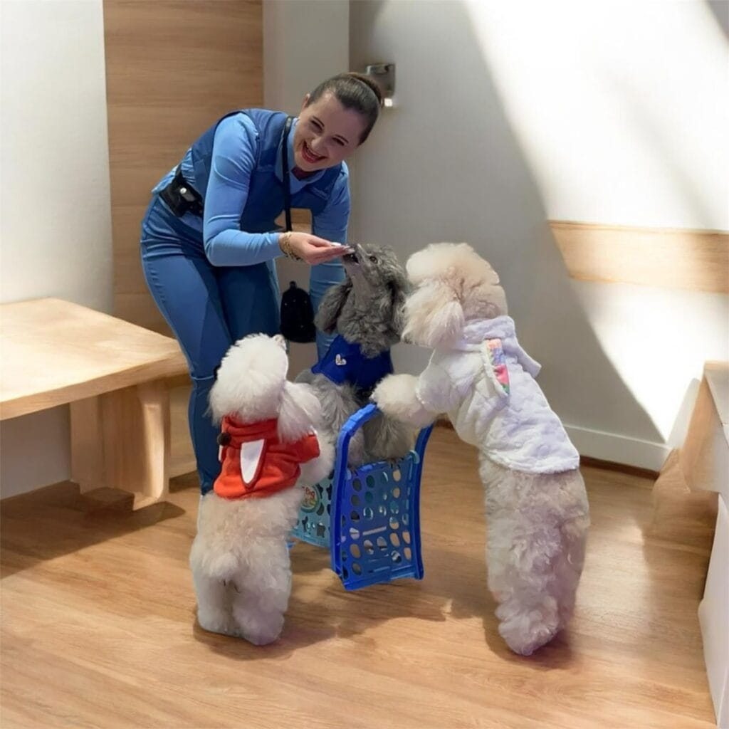 Show Liana y Sus Perritos Educados con temática Zootopia, foto 8