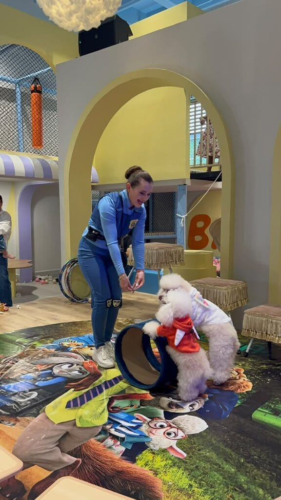 Show Liana y sus Perritos Educados con temática Zootopia, foto 10