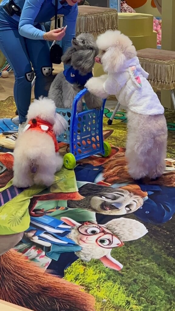 Show Liana y sus Perritos Educados con temática Zootopia, foto 11