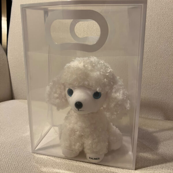 Bolsa de regalo transparente 05 Detalle de bolsa de regalo transparente con peluche de perrito blanco, no incluido