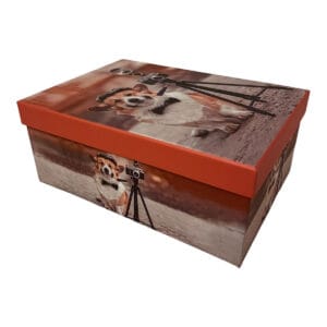 Caja de regalo con tapa naranja y diseño de perrito fotógrafo, vista lateral