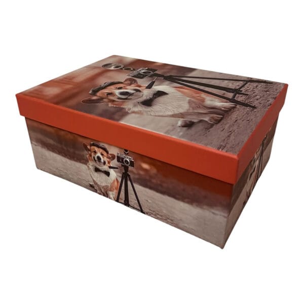 Caja de Regalo Perruna – Dog Shop Kalinka (1) Caja de regalo con tapa naranja y diseño de perrito fotógrafo, vista lateral