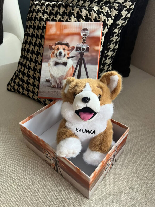Caja de Regalo Perruna – Dog Shop Kalinka (10) Ejemplo de caja de regalo abierta con peluche de perrito café