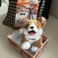 Ejemplo de caja de regalo abierta con peluche de perrito café