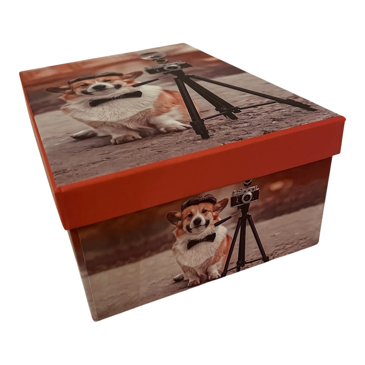 Caja de regalo rígida con tapa naranja y diseño de perrito fotógrafo