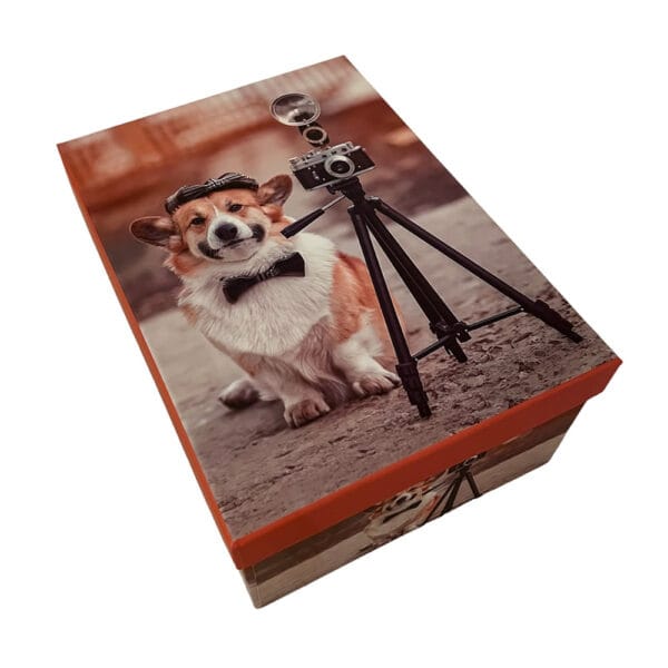 Caja de Regalo Perruna – Dog Shop Kalinka (4) Tapa de caja de regalo con ilustración de perrito fotógrafo