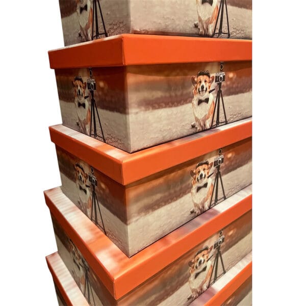 Caja de Regalo Perruna – Dog Shop Kalinka (5) Cajas de regalo perrunas apiladas en distintos tamaños