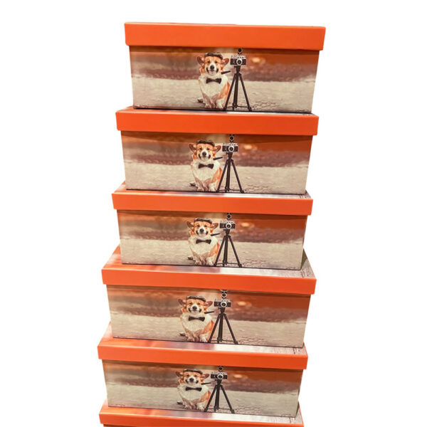 Caja de Regalo Perruna – Dog Shop Kalinka (7) Torre de cajas de regalo perrunas con tapas naranjas