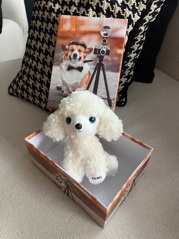 Caja de Regalo Perruna – Dog Shop Kalinka (8) Ejemplo de caja de regalo abierta con peluche de perrito blanco