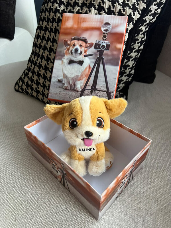 Caja de Regalo Perruna – Dog Shop Kalinka (9) Ejemplo de caja de regalo abierta con peluche de perrito beige