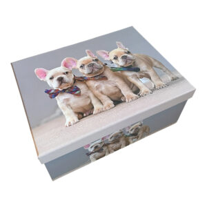 Caja de regalo perruna gris con tres cachorros de bulldog francés con moños, vista en perspectiva