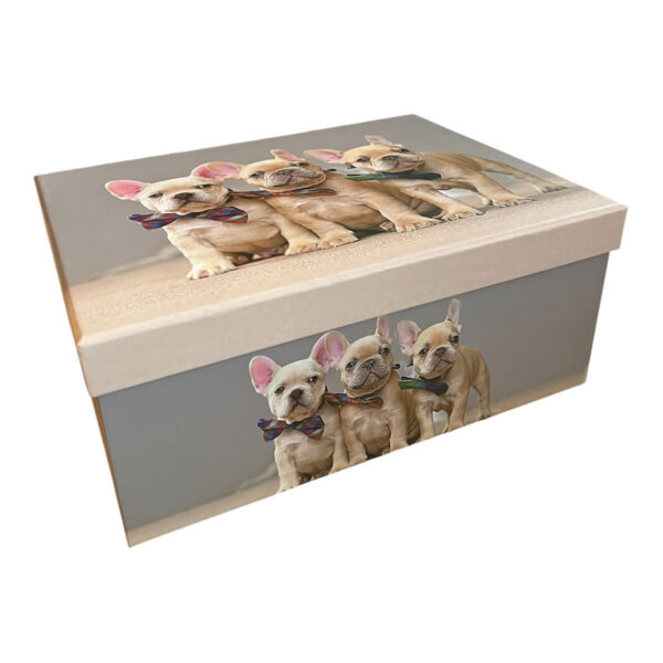 Caja-de-Regalo-Perruna-–-Dog-Shop-Kalinka08 Caja de regalo gris con tapa decorada con tres bulldogs franceses, vista lateral