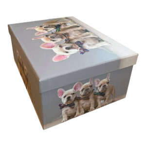 Caja de regalo perruna con bulldogs franceses, vista superior y lateral